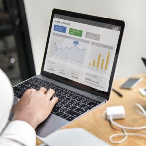 Basic Audit - “Website Health Check”